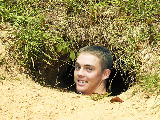 colt_nutria colt_nutria