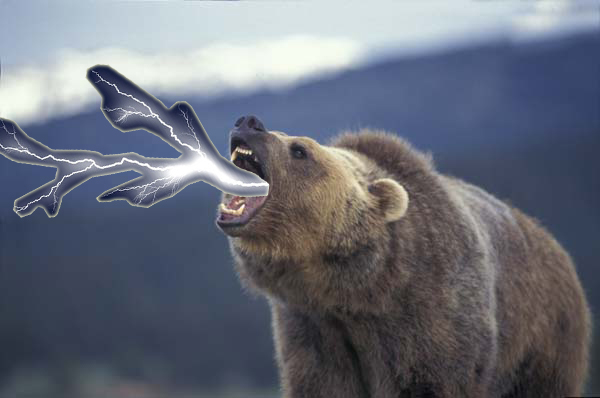 lightningbear lightningbear