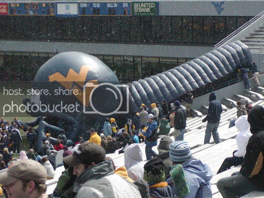 Photo Sharing and Video Hosting at Photobucket