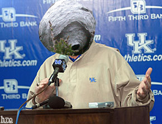 brooks_wasps brooks_wasps