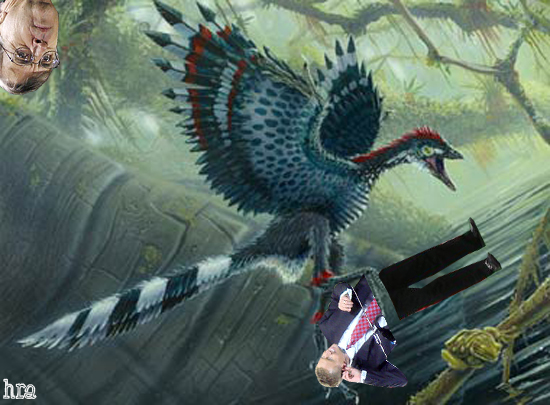 musbiearchaeopteryxrescue