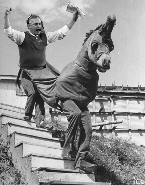 tressy_giddyup tressy_giddyup