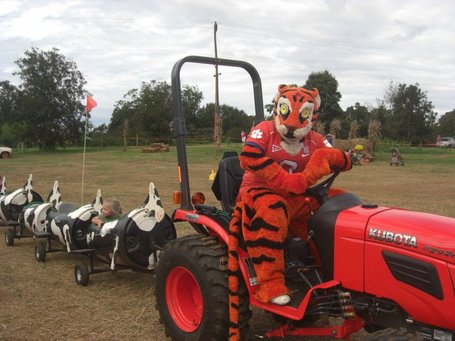 62905_434743567285_120298857285_5285839_5765328_n_medium