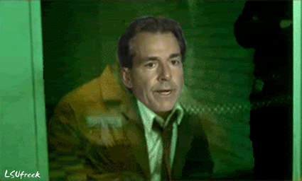 Sabanbirddooley_medium