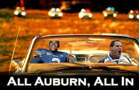 All_2bauburn_2ball_2bin_medium