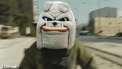 Boommuthaflorida_medium