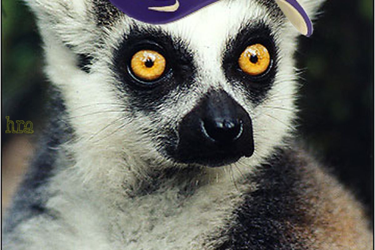 Au revoir, sweet fever dream of preseason.